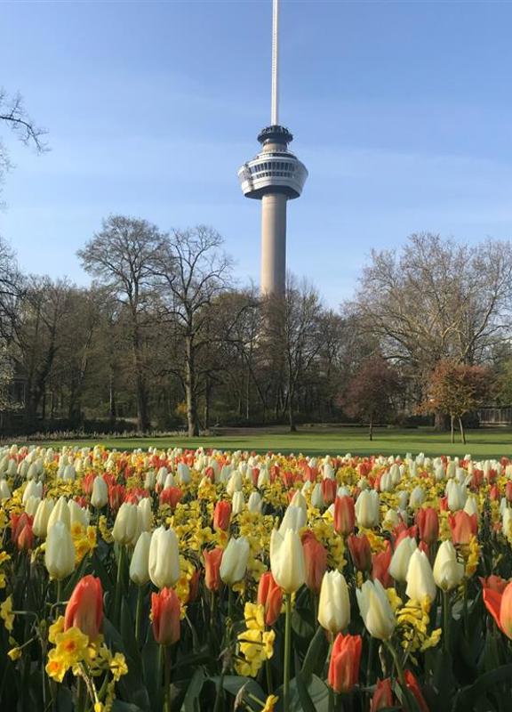 Lente in Rotterdam