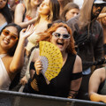Festival