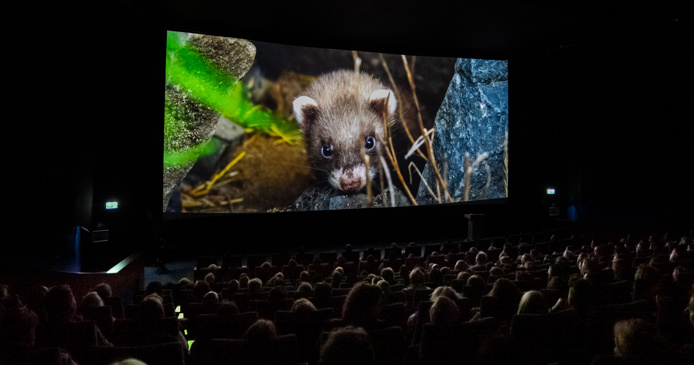 Wildlife Film Festival Rotterdam opent met een ode aan de nieuwsgierige natuurliefhebber