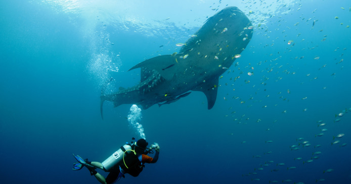 World Wildlife Fund opens pop-up experience about oceans at Rotterdam Central Station